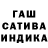 Канабис White Widow Zachary Brahm